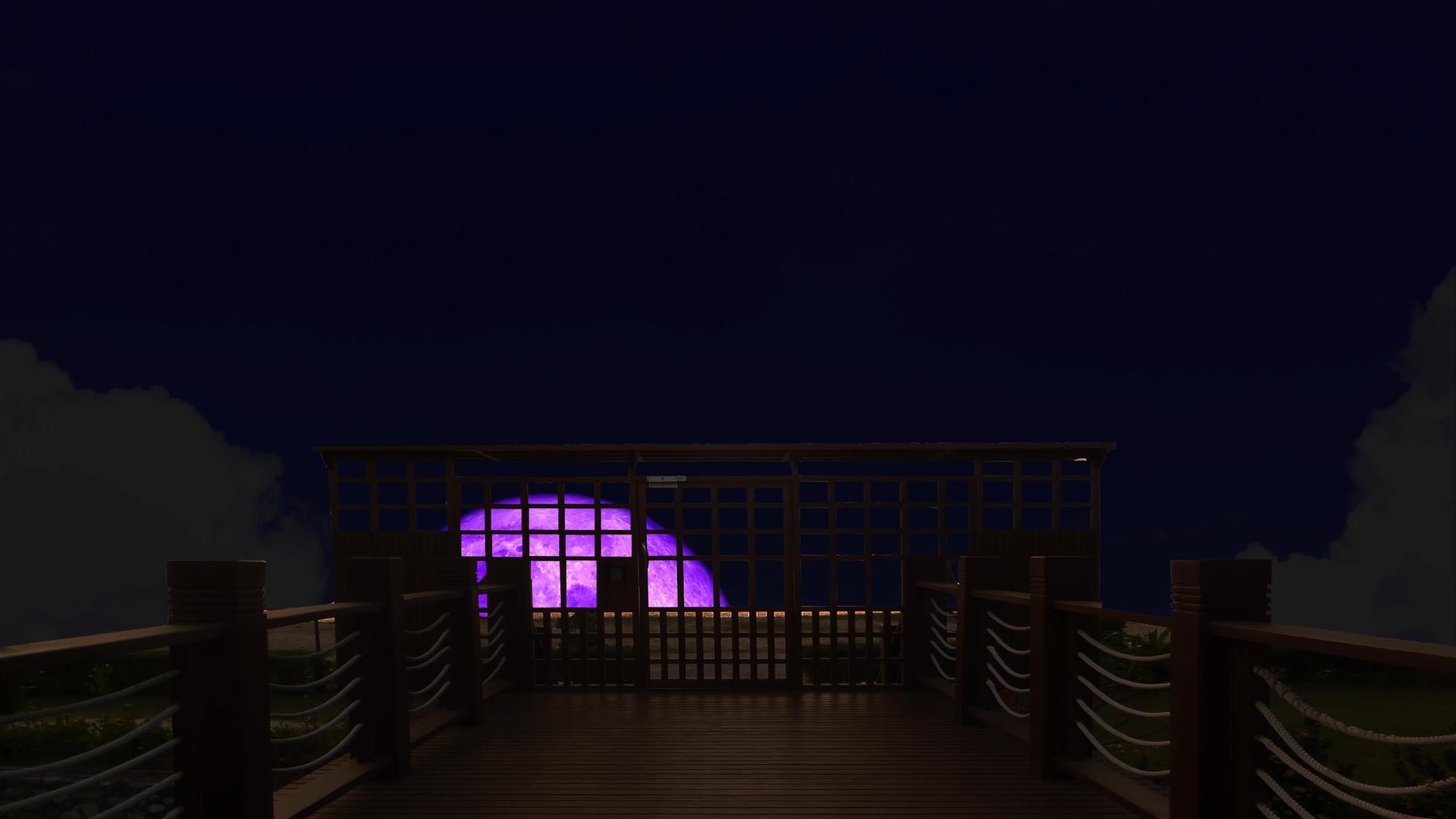 超级紫色的月亮站在夜空的双轮桥上视频的预览图