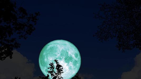 夜空中的树下超级水月在周光下的树叶上重新升起视频的预览图
