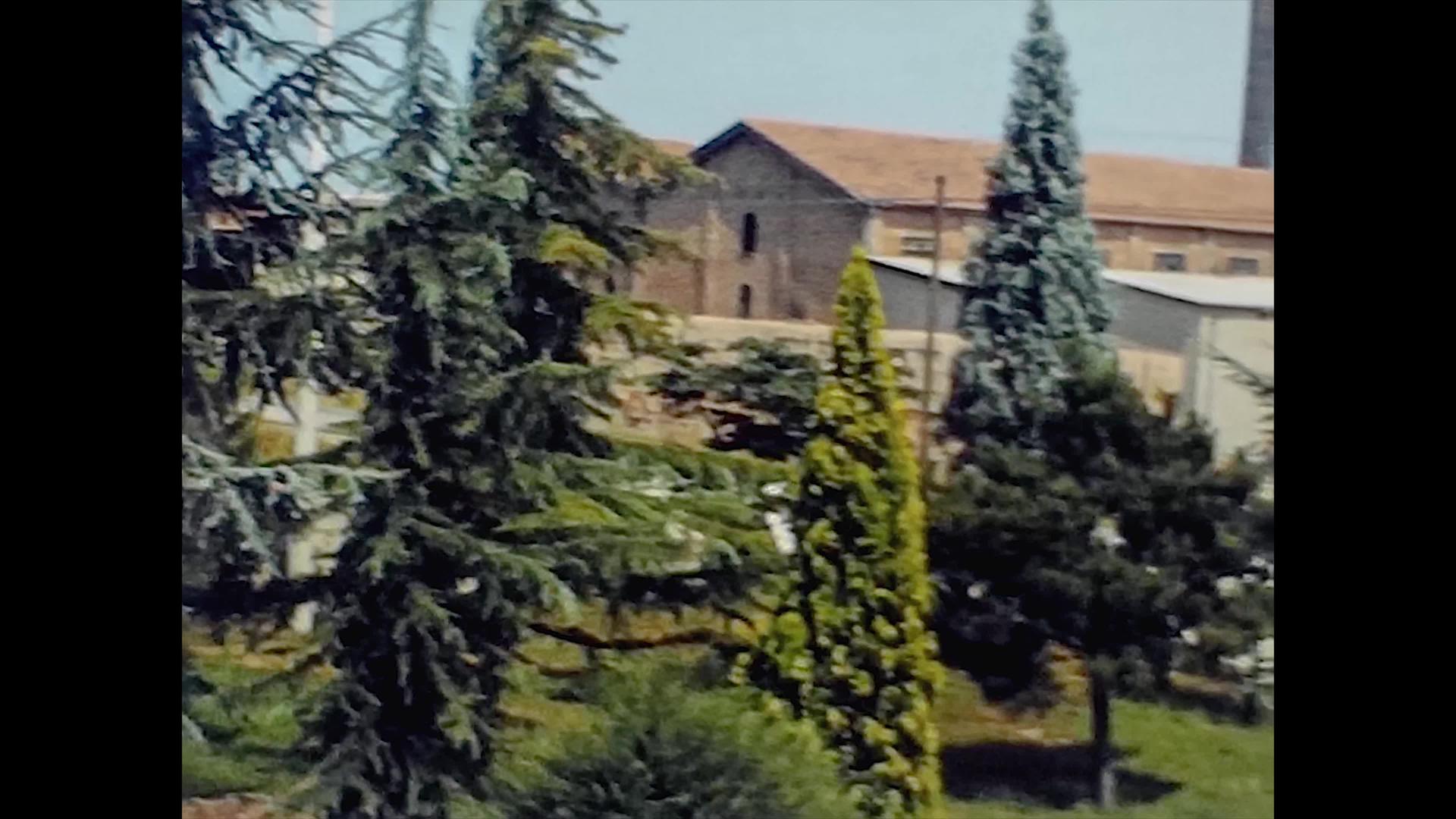 1975年有树的花园视频的预览图