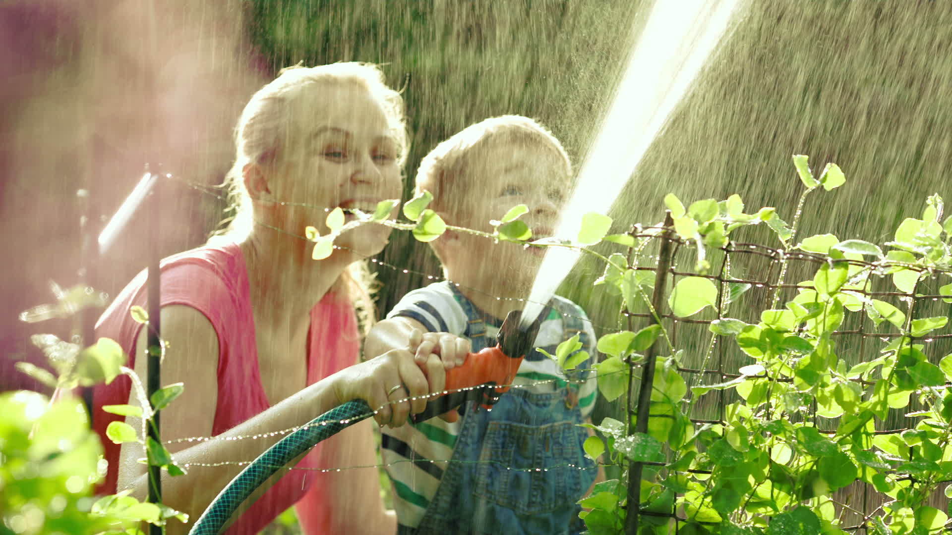 母亲和儿子一起给花园浇水视频的预览图