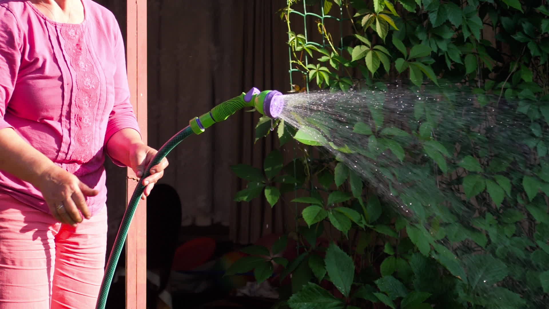 人工花园喷雾器视频的预览图