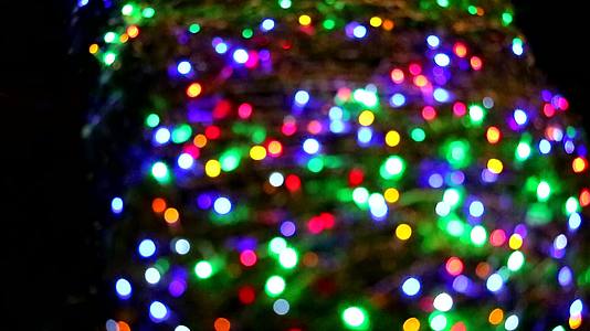 夜晚花园树上多色的灯光装饰视频的预览图