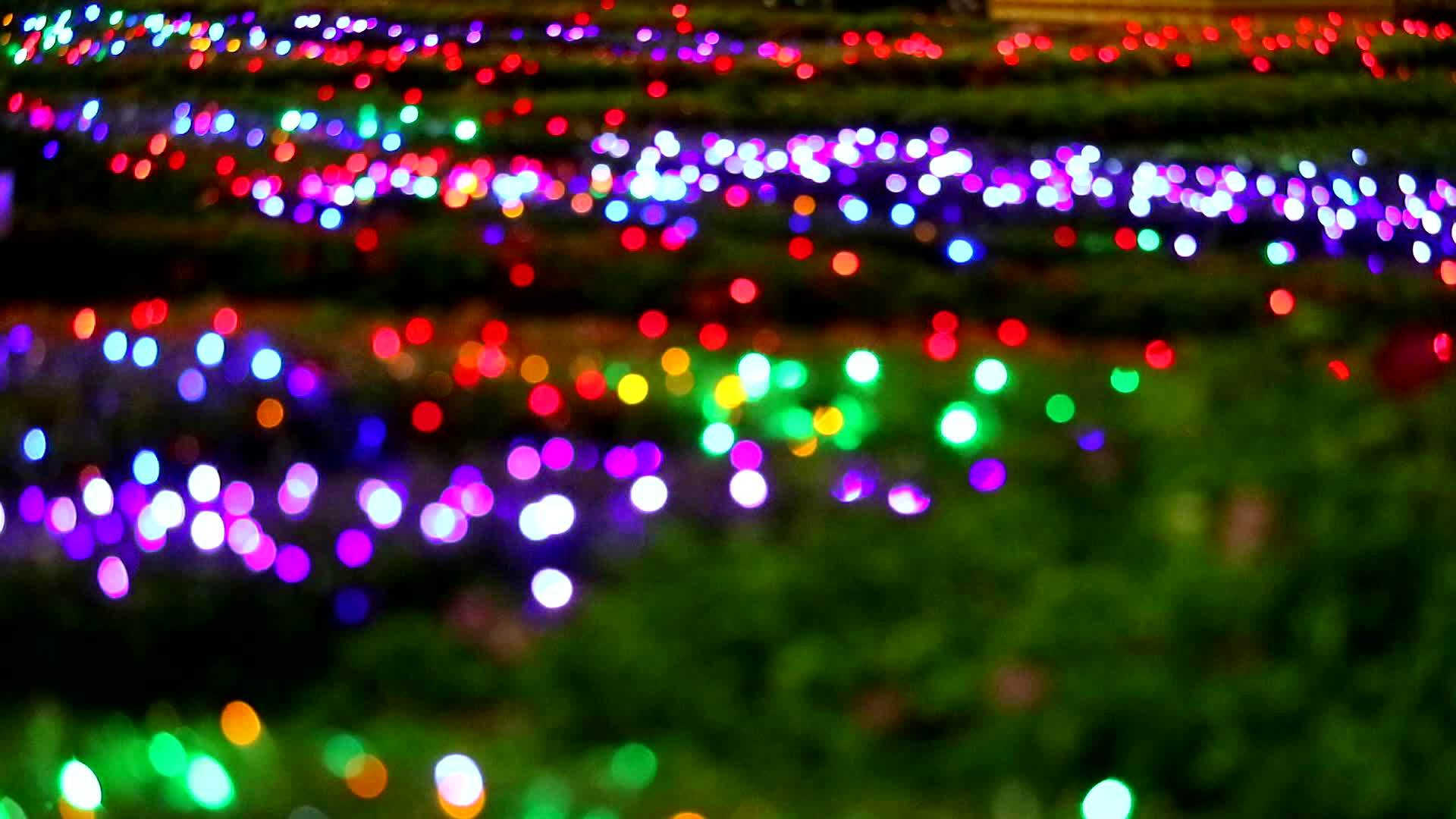 夜晚花园树上闪亮的彩色灯光装饰着视频的预览图