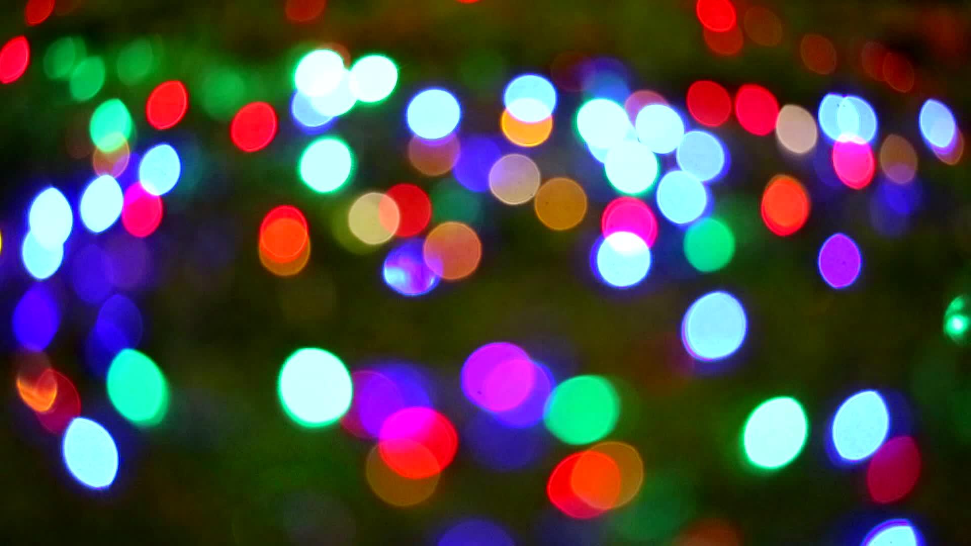夜晚花园树上闪亮的灯光装饰视频的预览图