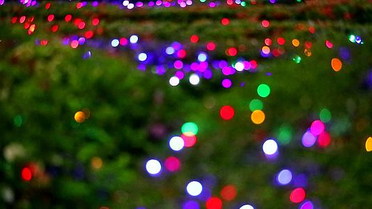 夜花园树抽象模糊彩色灯光装饰视频的预览图