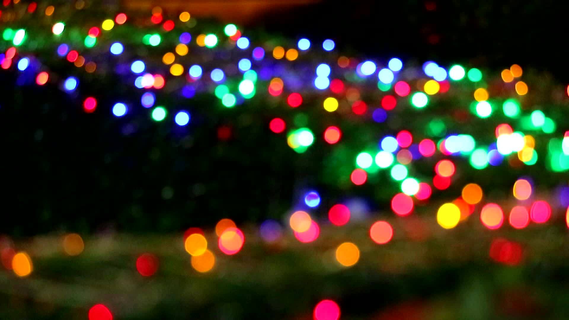夜花园树上的绿色彩虹灯模糊了视频的预览图