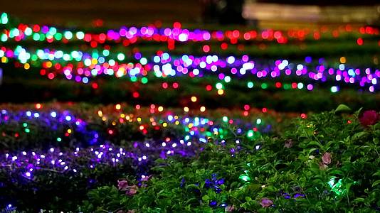 布基彩虹彩灯装饰在夜间花园树上视频的预览图