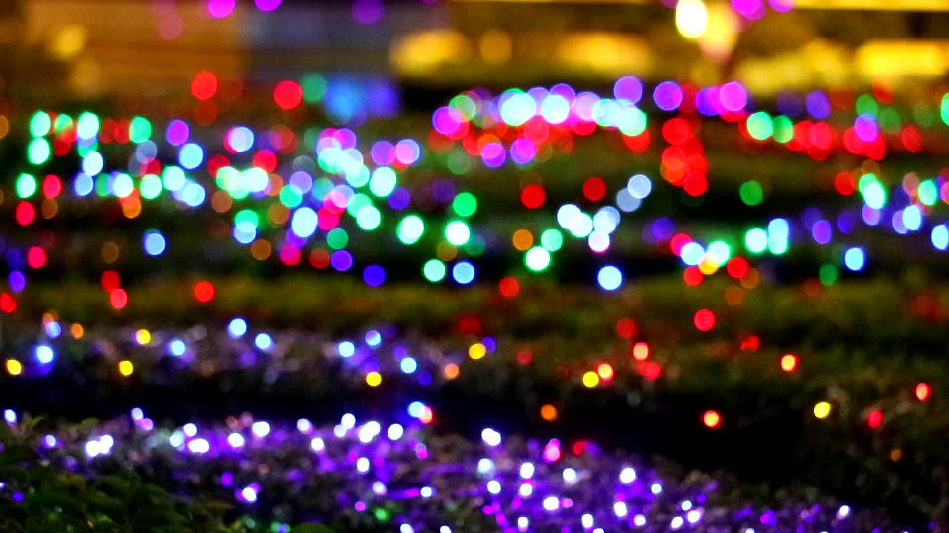 夜间花园区域有许多模糊的彩虹灯装饰品视频的预览图