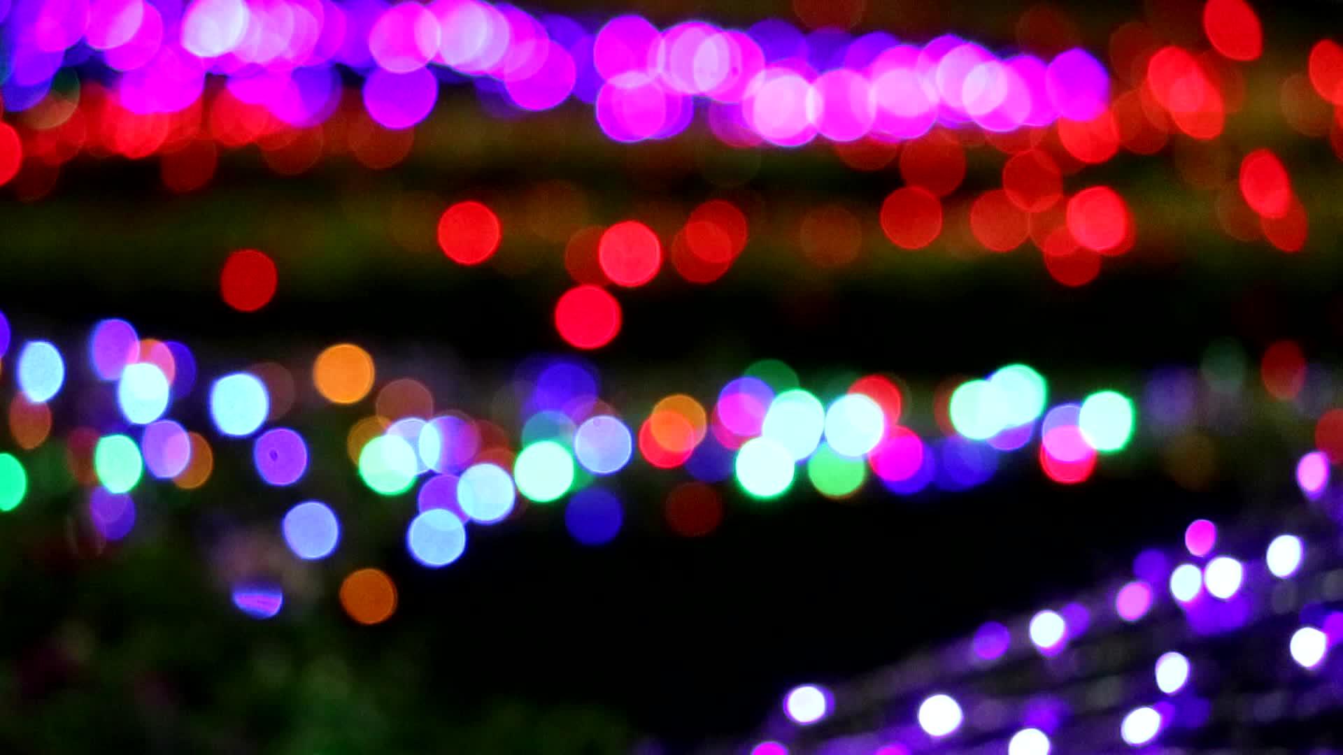 夜间花园区域的多色模糊灯光装饰视频的预览图