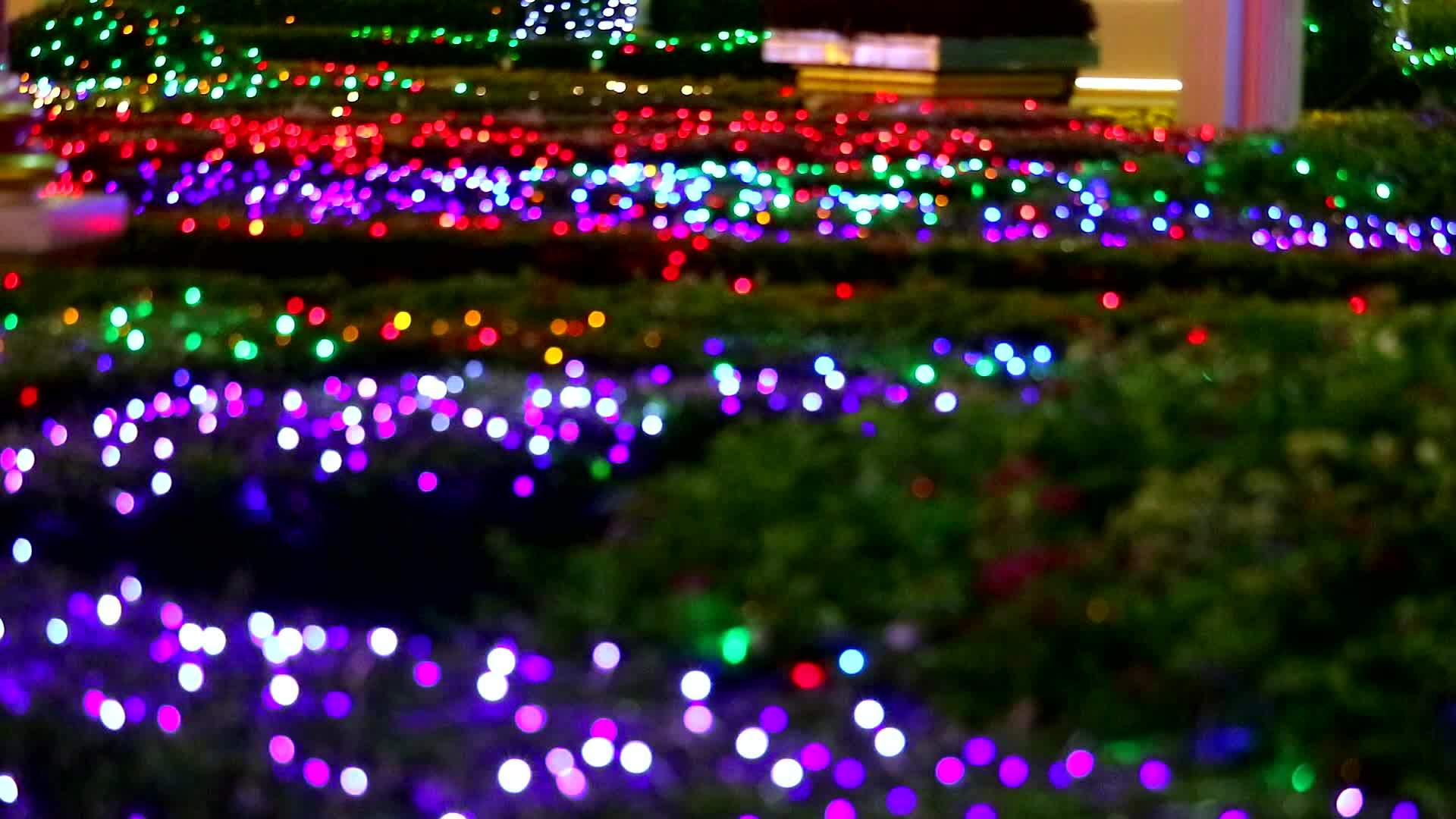 夜间花园区域的多色模糊灯光装饰视频的预览图