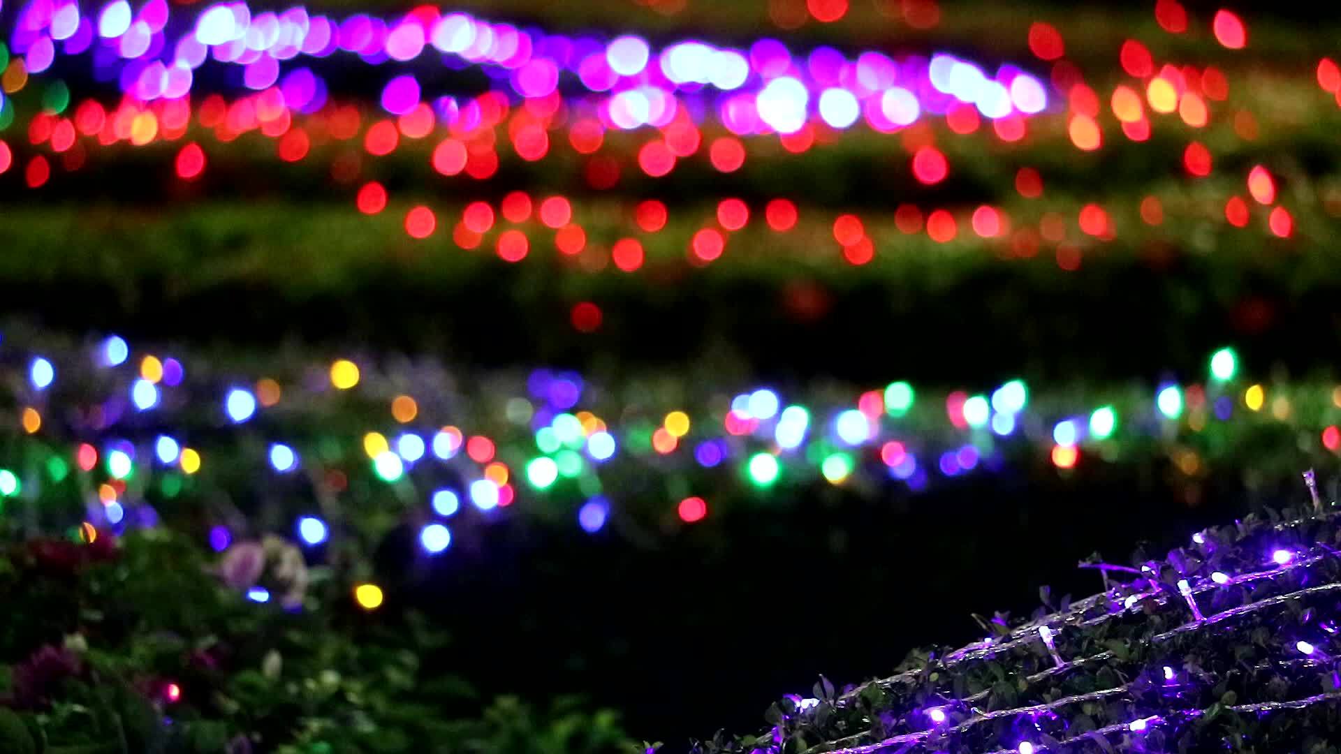 夜间公园区多色模糊灯光装饰1视频的预览图
