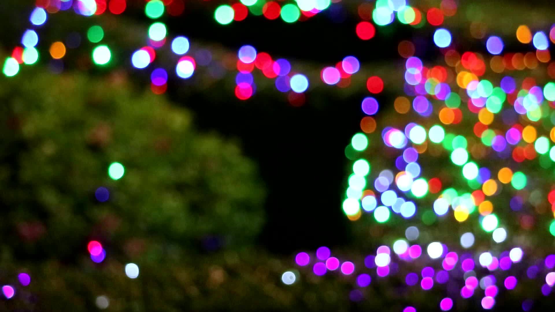 夜间公园彩虹色模糊灯光装饰视频的预览图