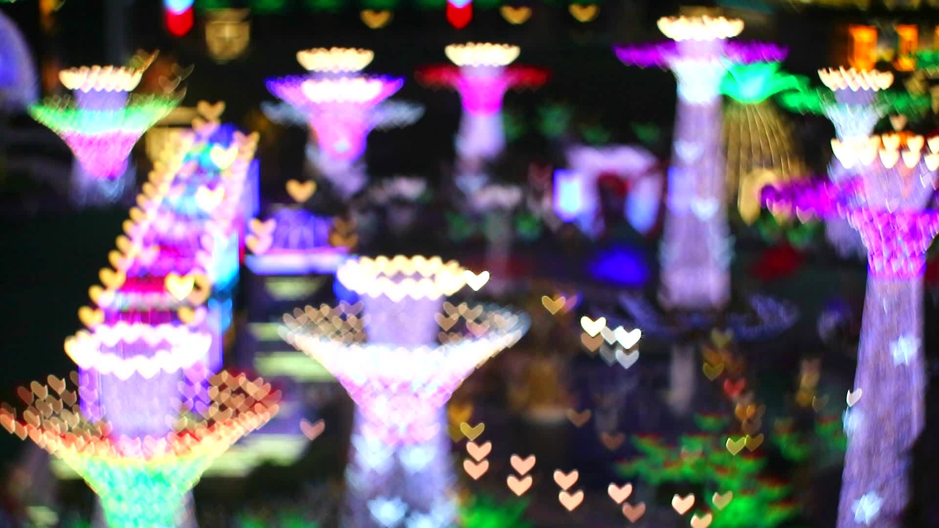 情人节一号的树上闪亮的灯视频的预览图