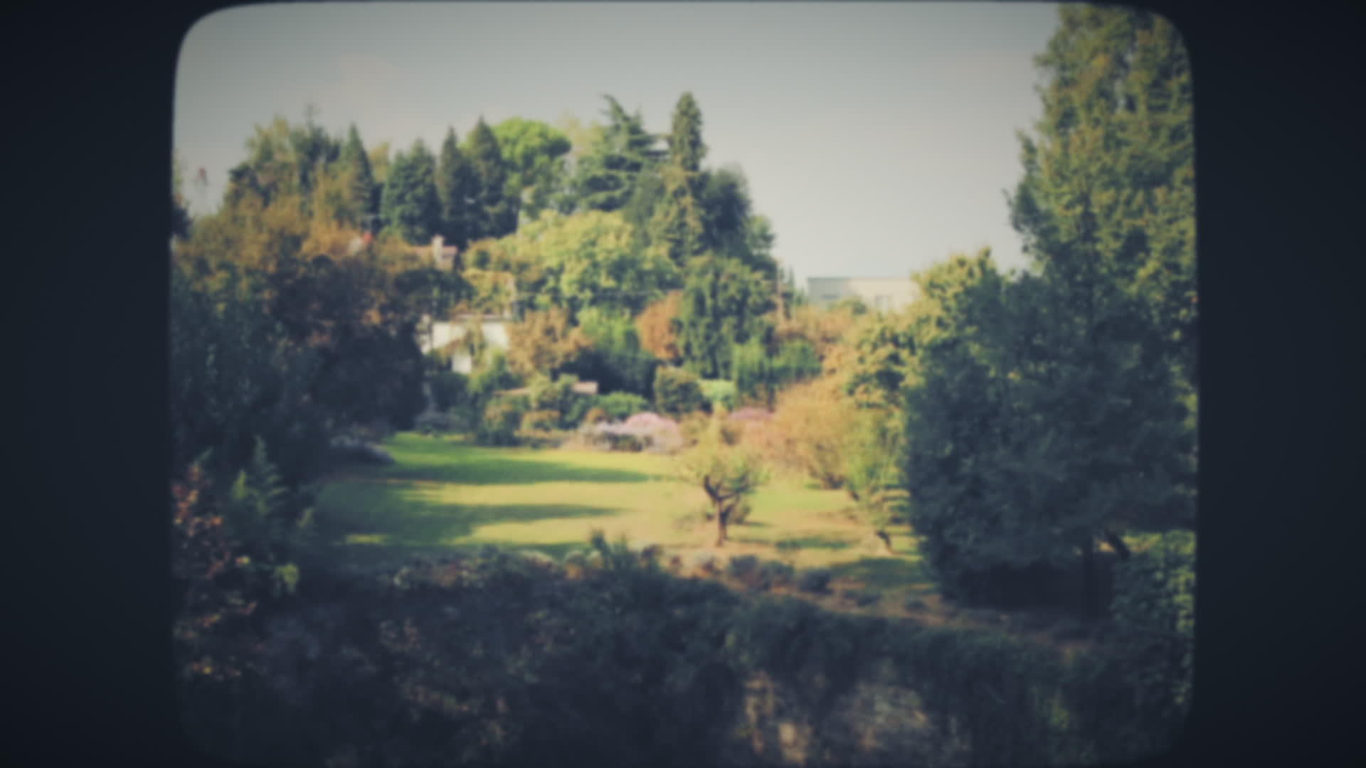 绿城公园花园视频的预览图