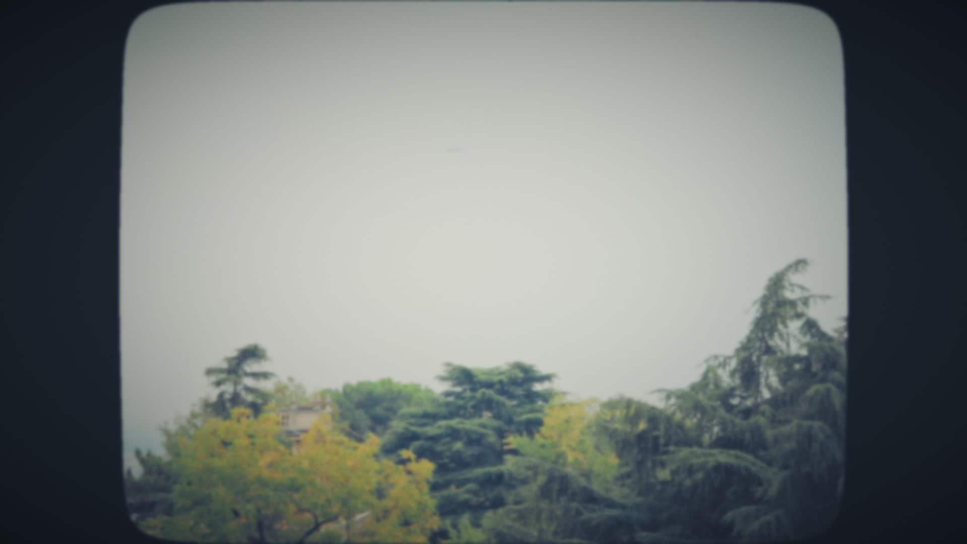 城市公园在阴云的一天视频的预览图