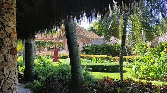 度假村的热带花园视频的预览图