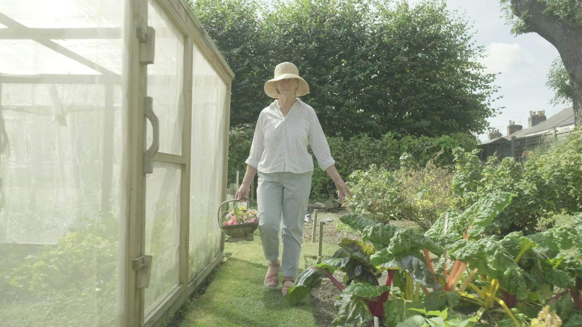 高级女老人在花园里走过自己的花园视频的预览图