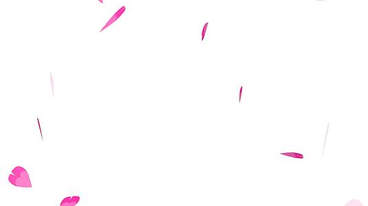 粉色沙库拉留下微粒慢慢落下树枝在旗帜和广告中淡化视频的预览图
