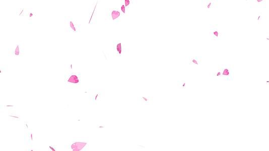 粉色沙仓留下的粒子在旋转时慢慢褪色最后逐渐褪色视频的预览图