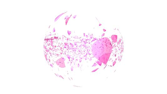 粉色沙库拉叶子落在空中漂浮在球体上视频的预览图