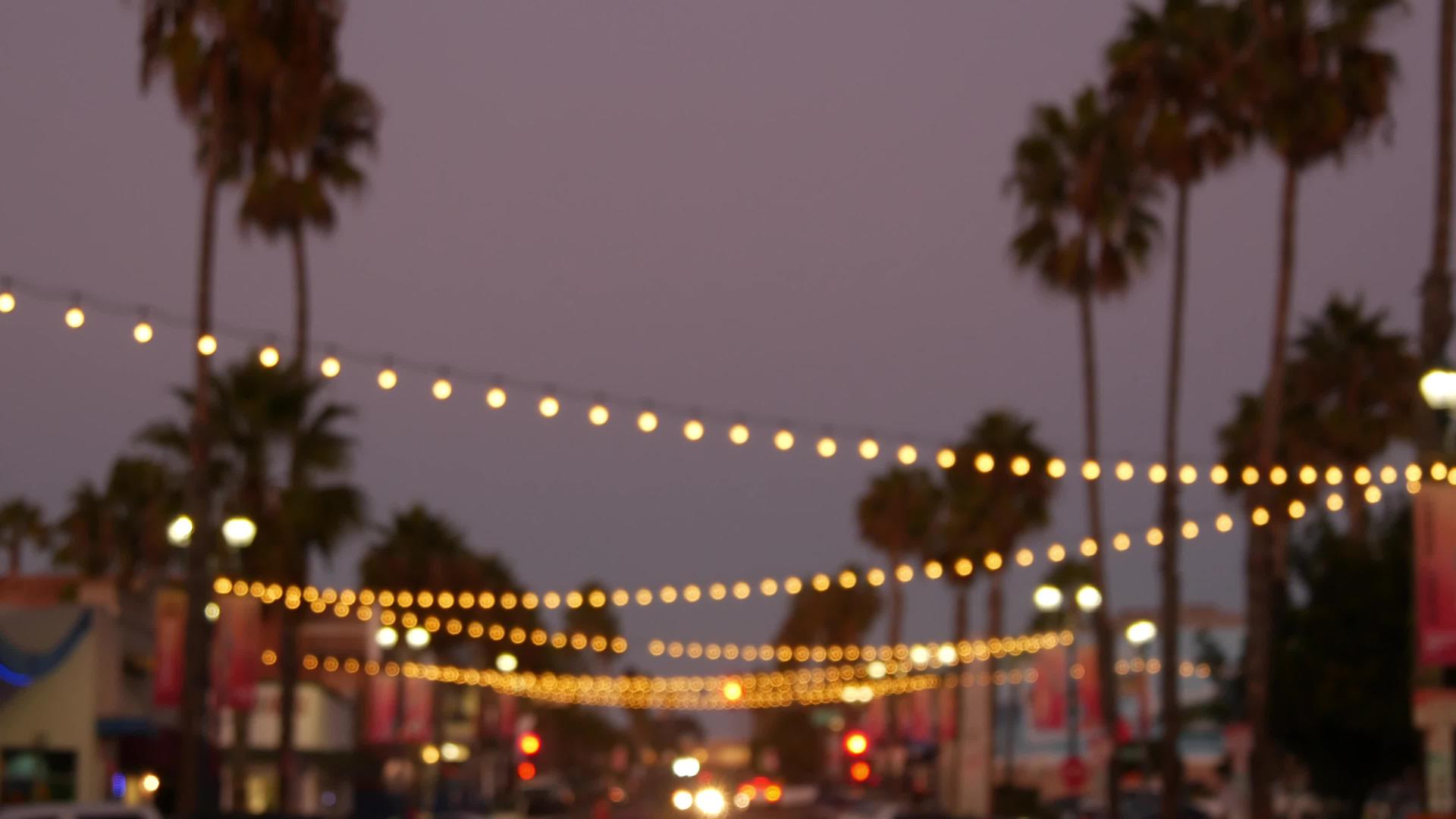装饰和凝视的花环灯棕榈树在晚上的天空模糊的背景视频的预览图