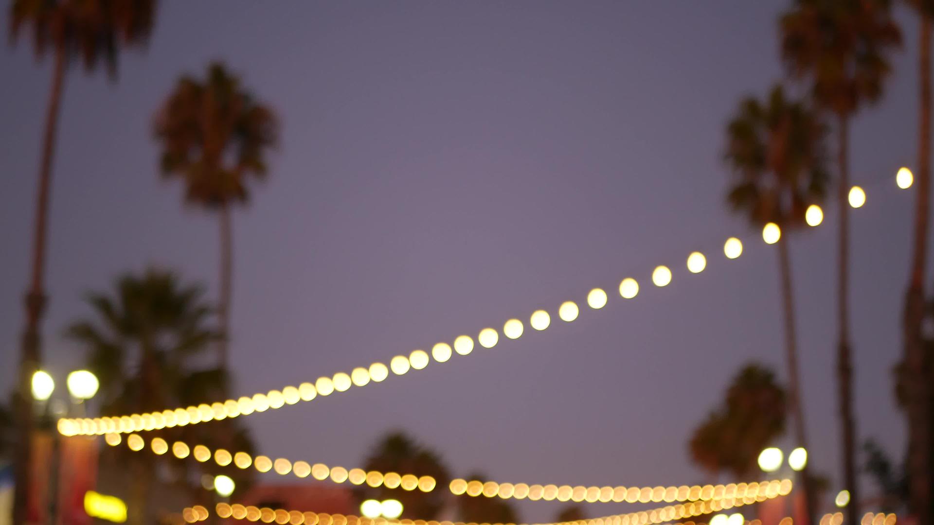装饰和凝视的花环灯棕榈树在晚上的天空模糊的背景视频的预览图