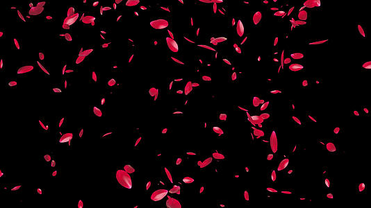 花瓣飞行阿尔法频道视频的预览图