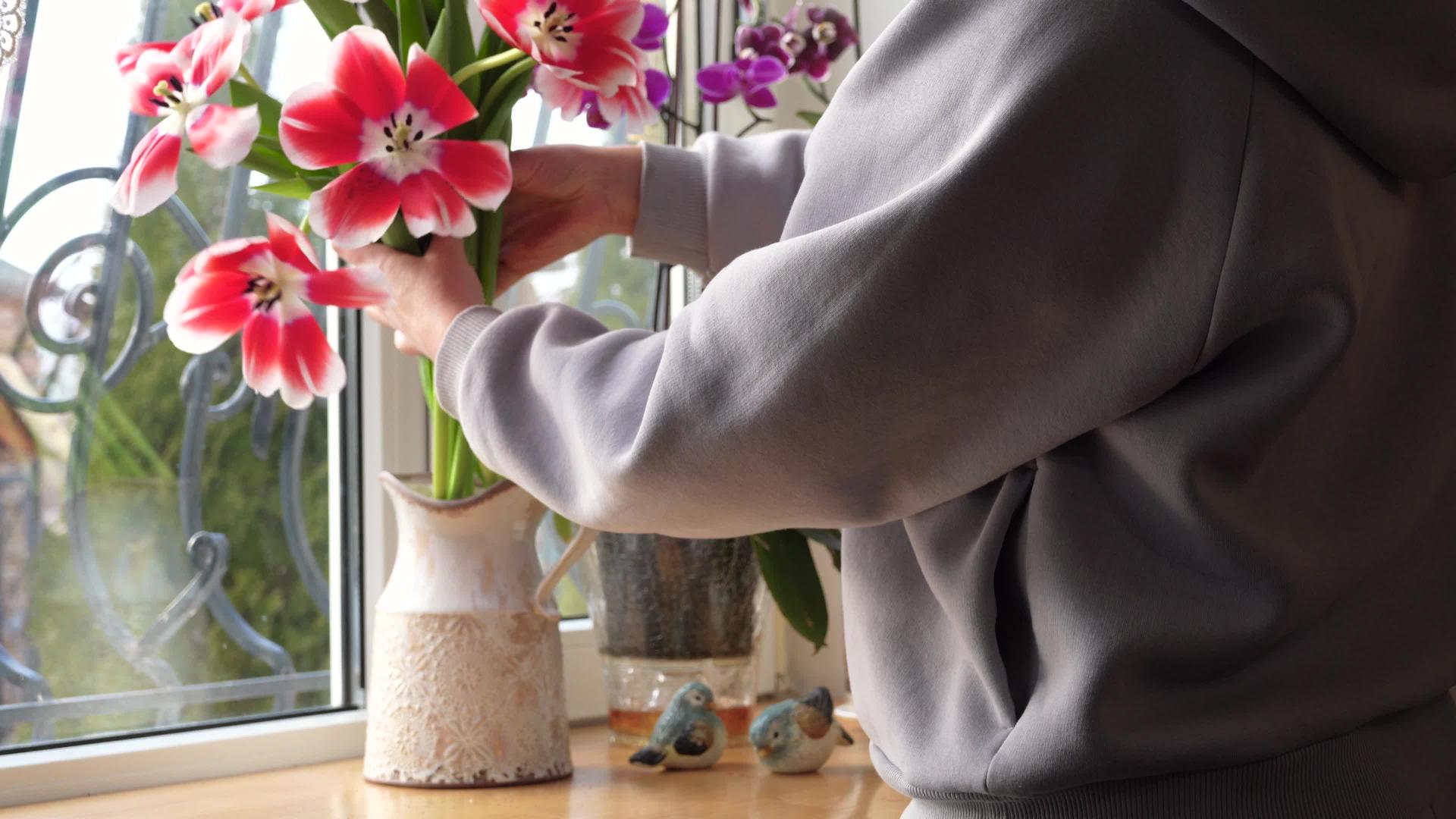 女人在私人房子的窗台上的花瓶里露出一束美丽的春花视频的预览图