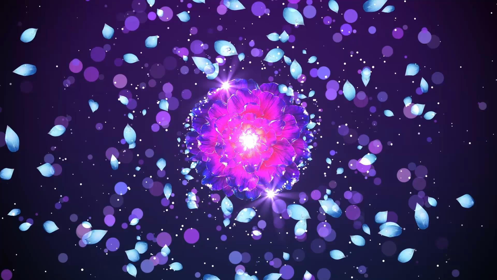 动态唯美粒子花瓣旋转散发背景视频元素视频的预览图