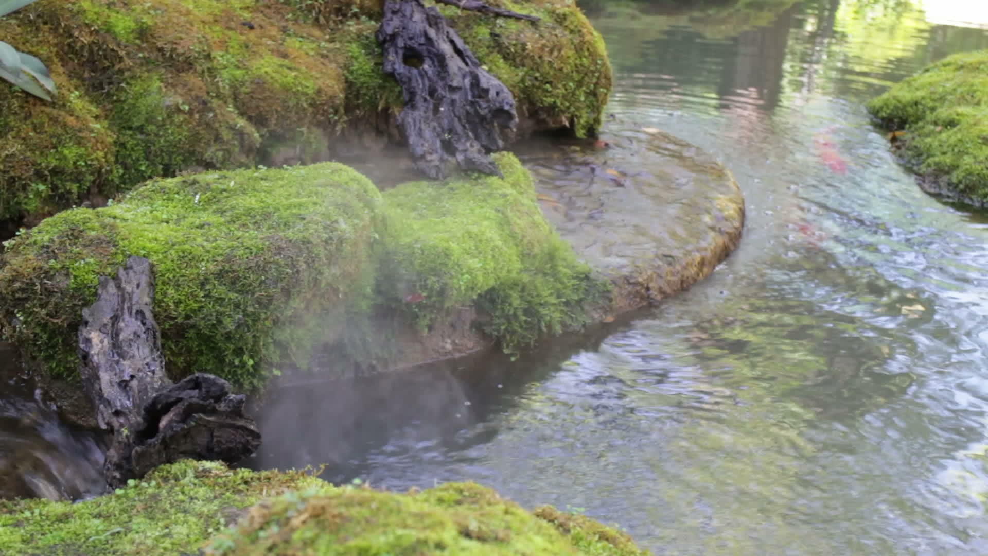 美丽的小溪在东方风格的家庭花园视频的预览图