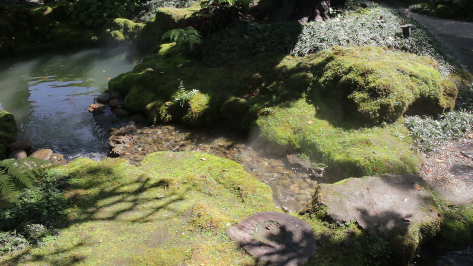 露天花园的岩石覆盖视频的预览图