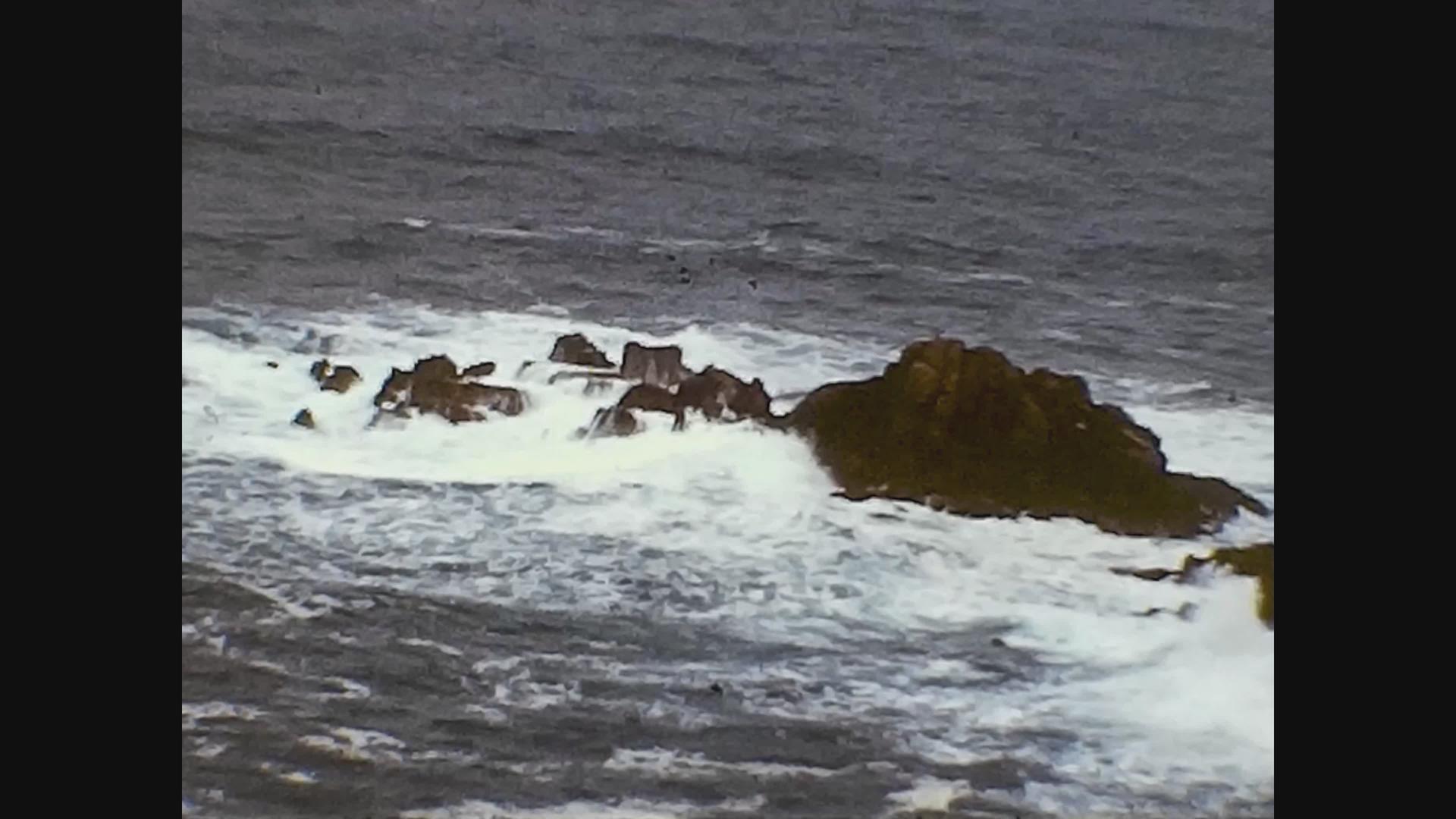 1968年联合王国蜥蜴海观视频的预览图