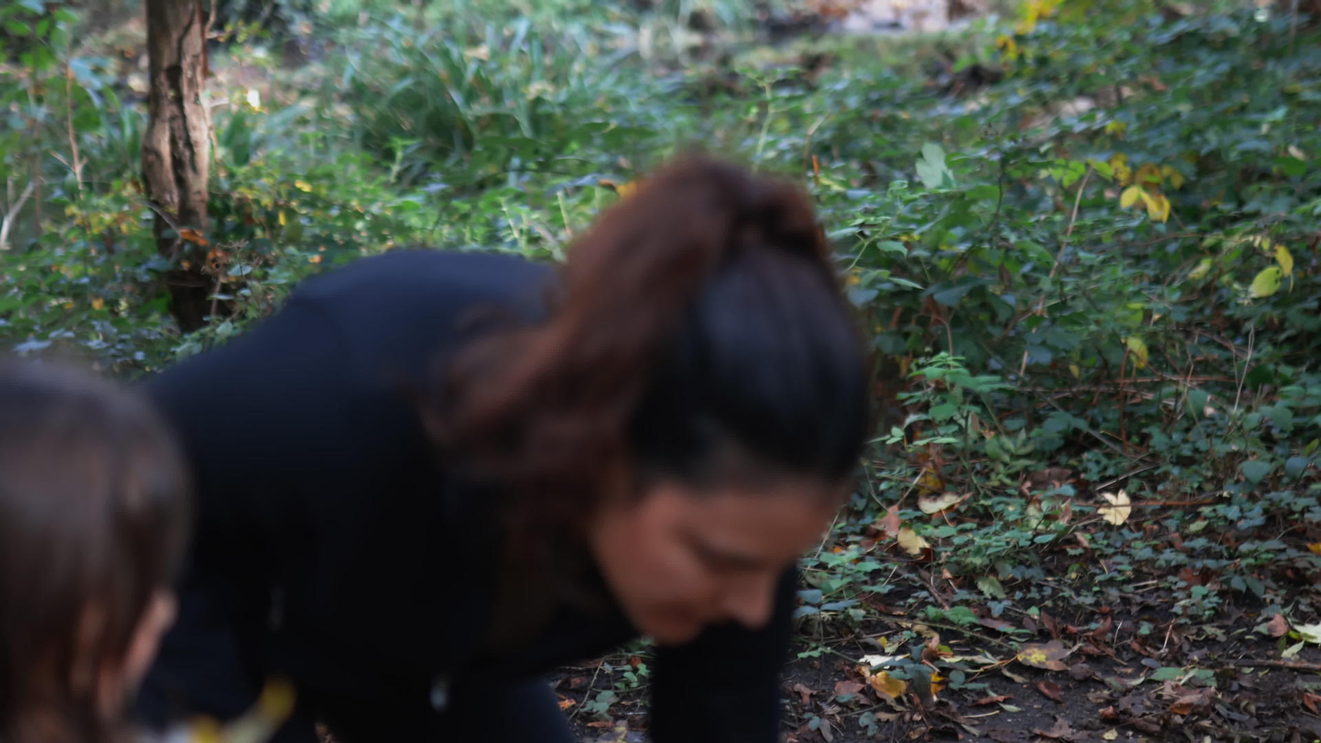 穿黑衣服的女人在森林里落下一些干黄的叶子视频的预览图