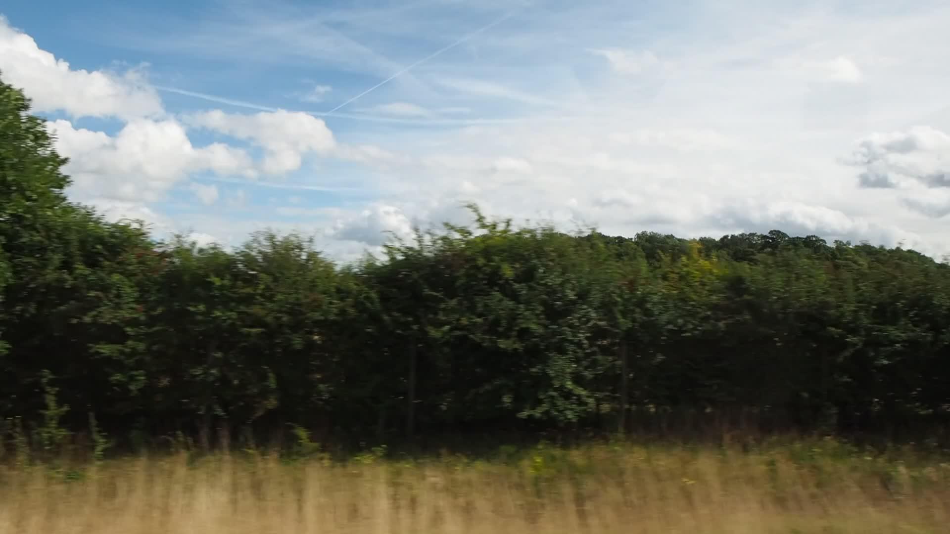英国列车风景视频的预览图