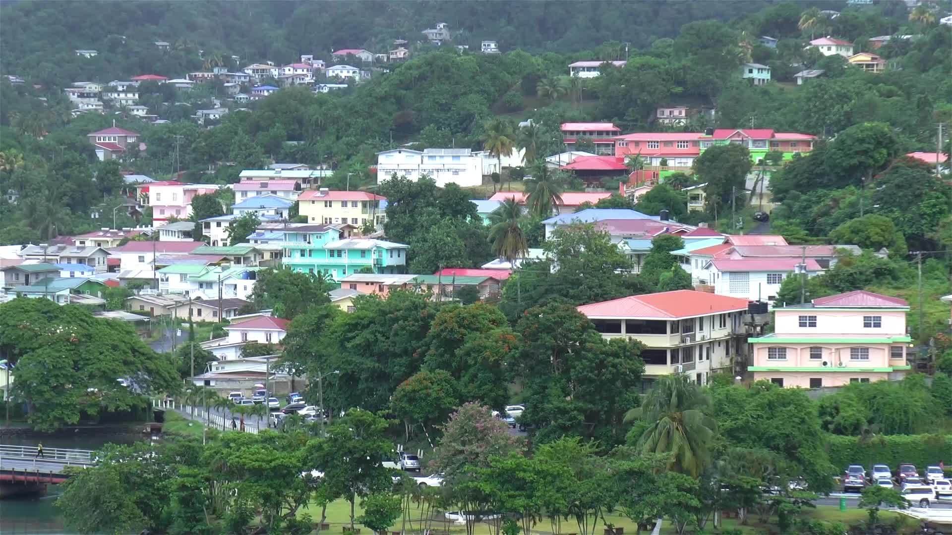 圣卢西亚岛的房屋和当地人出售的石膏视频的预览图
