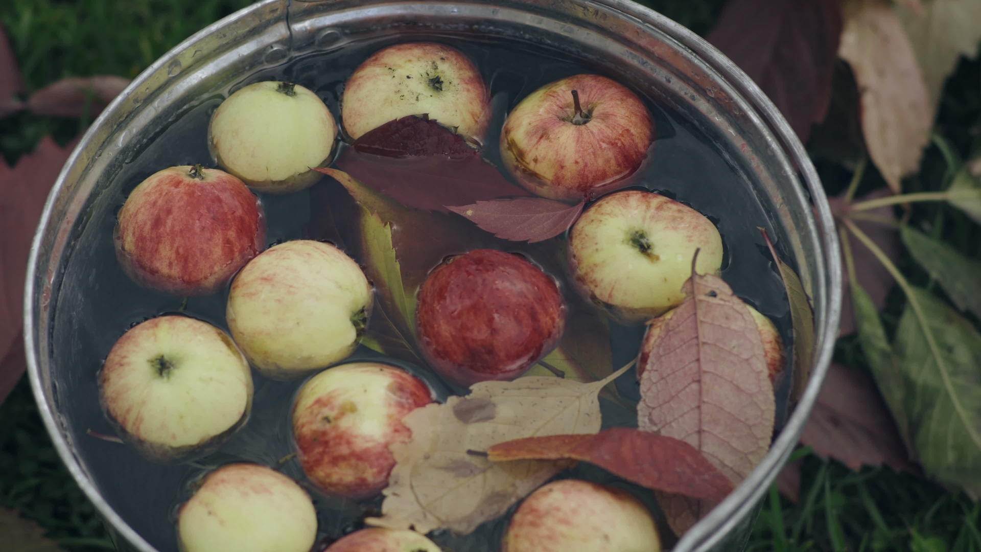 一桶红成熟苹果装满了一桶水视频的预览图