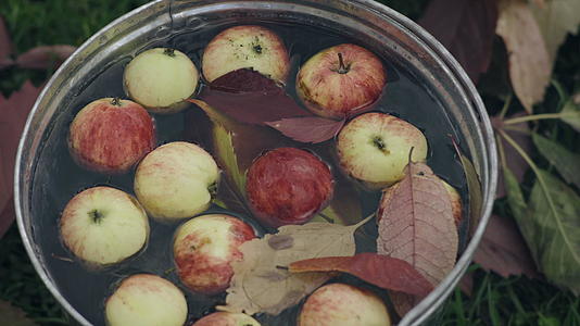 一桶红成熟苹果装满了一桶水视频的预览图