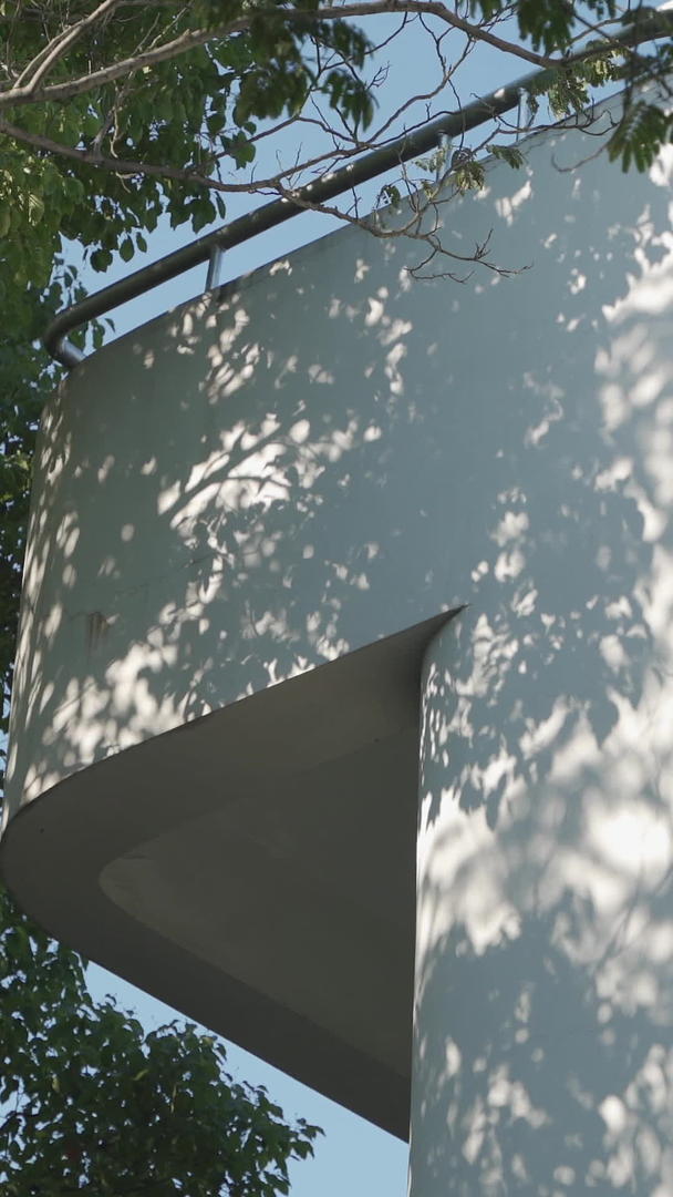 树影在阳光下的白墙上晃动视频的预览图