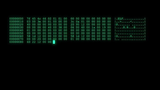 4k黑客代码在计算机屏幕终端运行视频的预览图