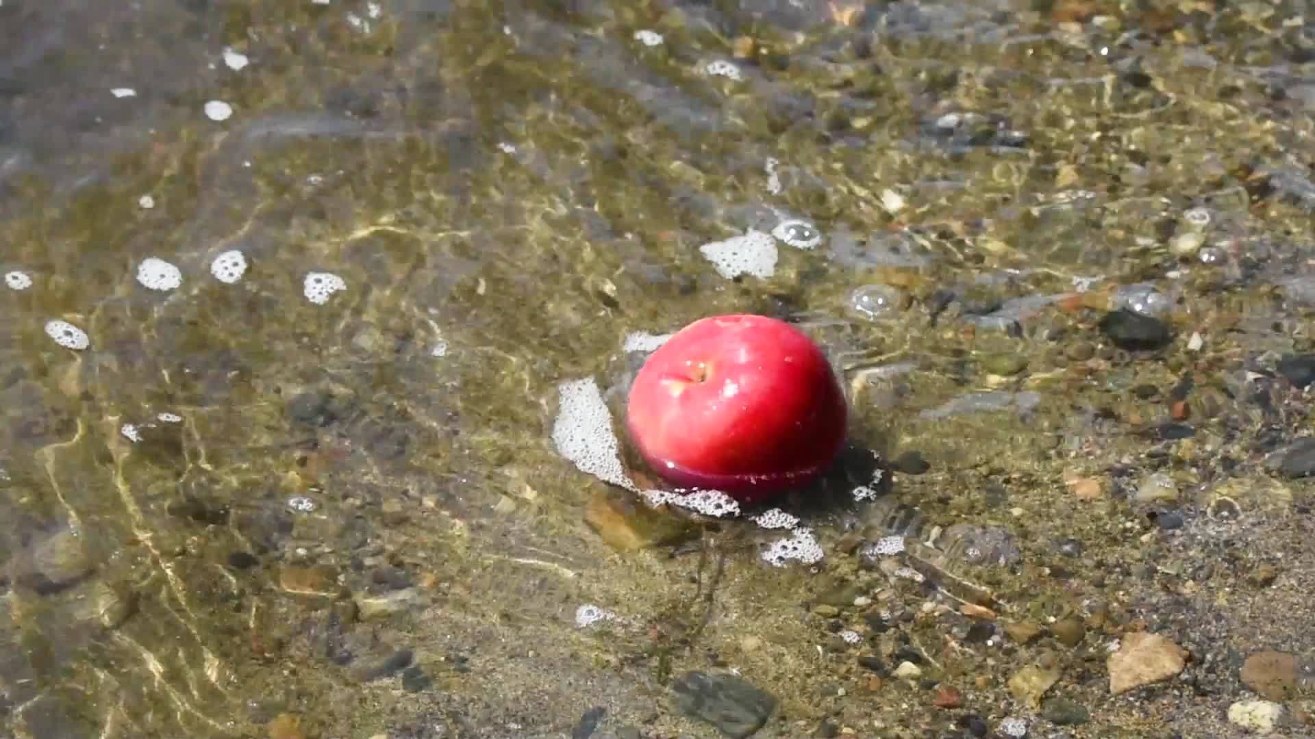 一个苹果漂浮在岸边的水里一个路人捡起一个苹果视频的预览图