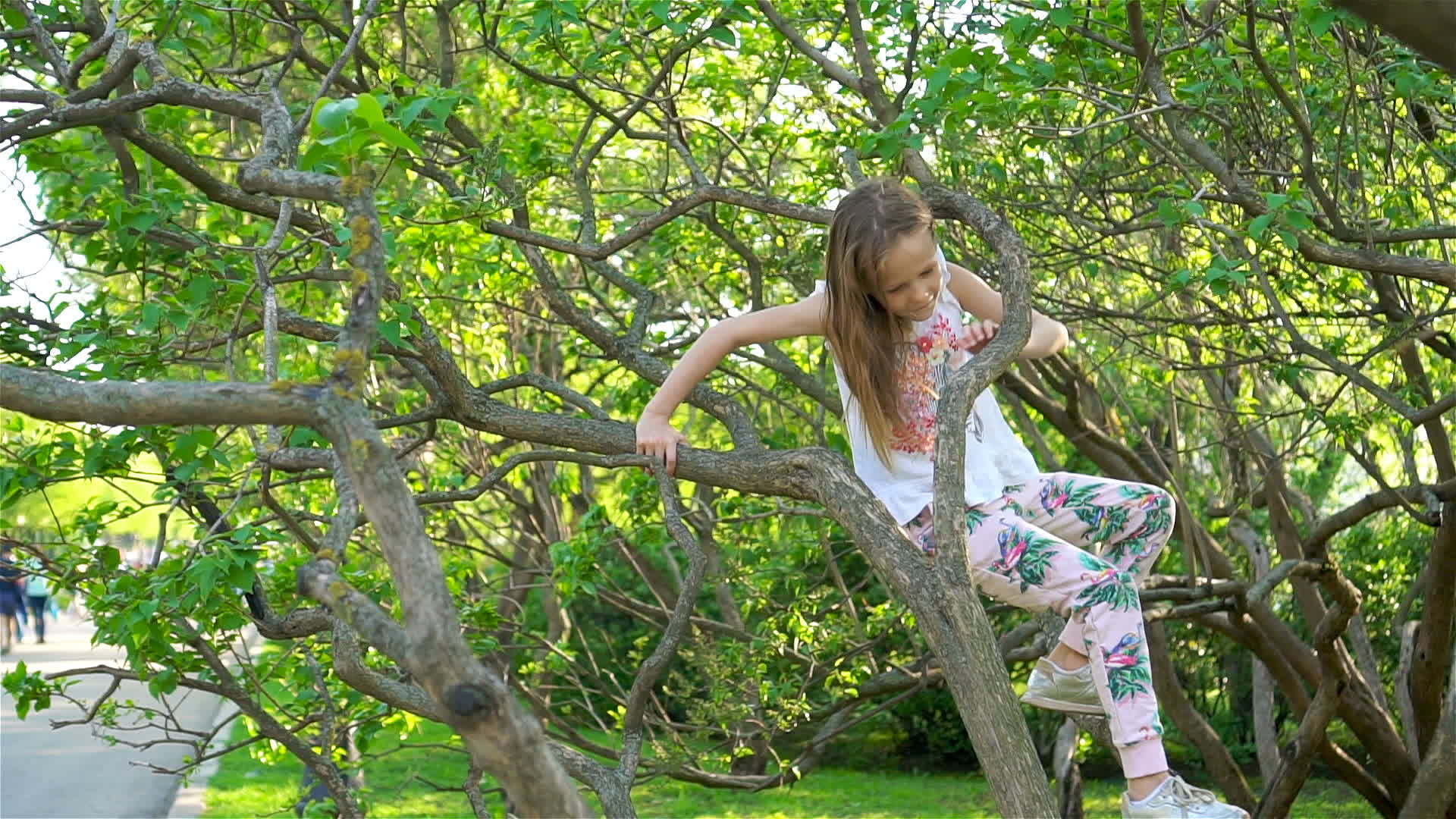 可爱的女孩在盛开的苹果树花园里享受温暖的一天视频的预览图