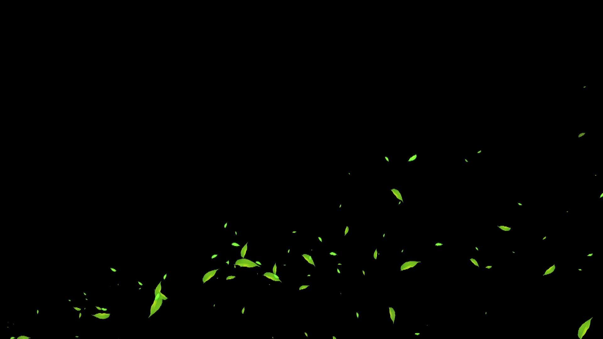 绿叶点缀粒子带通道视频的预览图