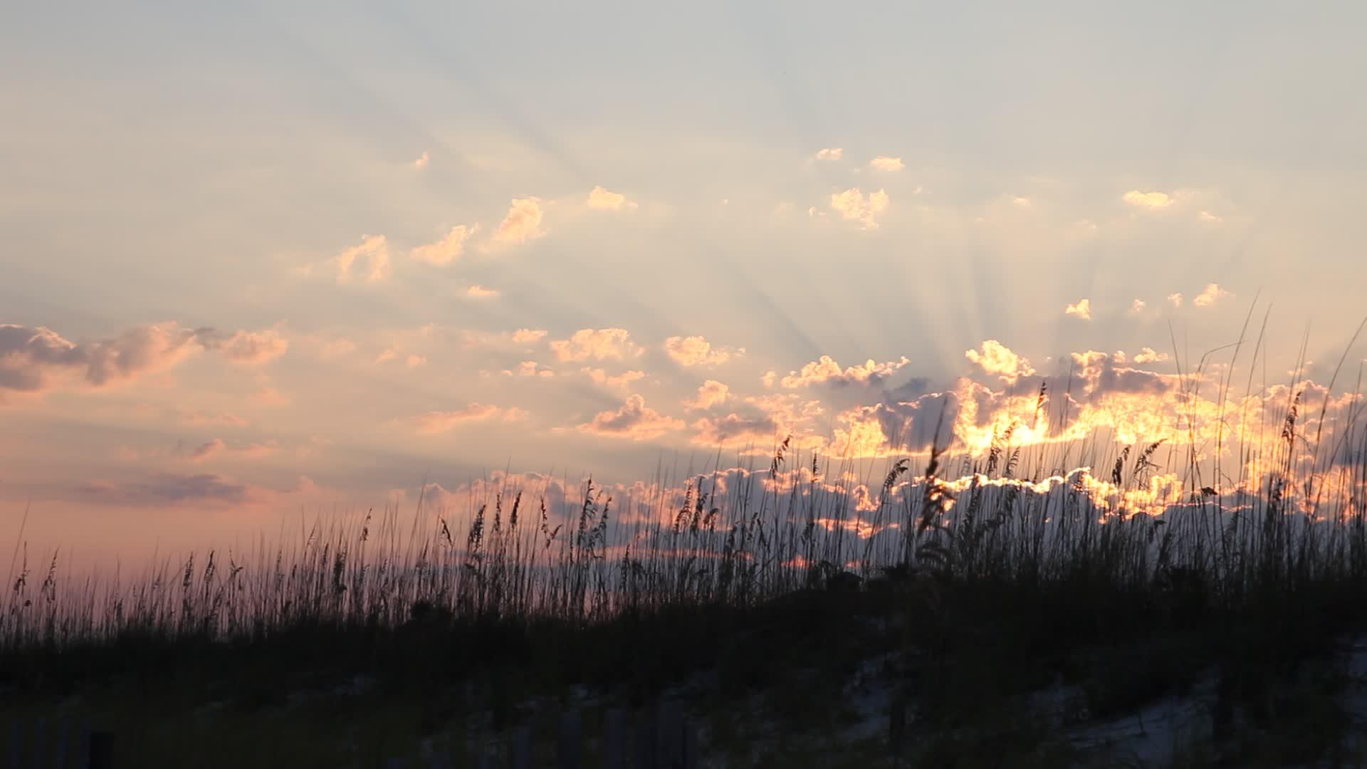 风中吹着草在美丽的海滩上日落前在科拉视频的预览图