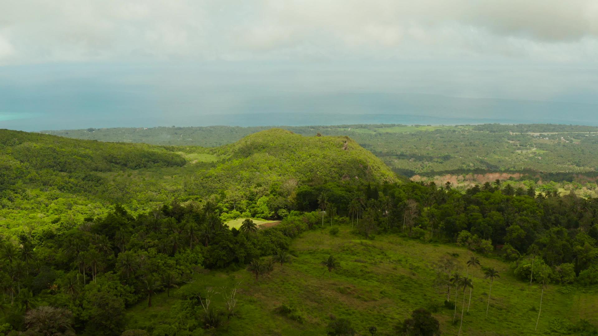菲律宾卡米金农田热带景观视频的预览图