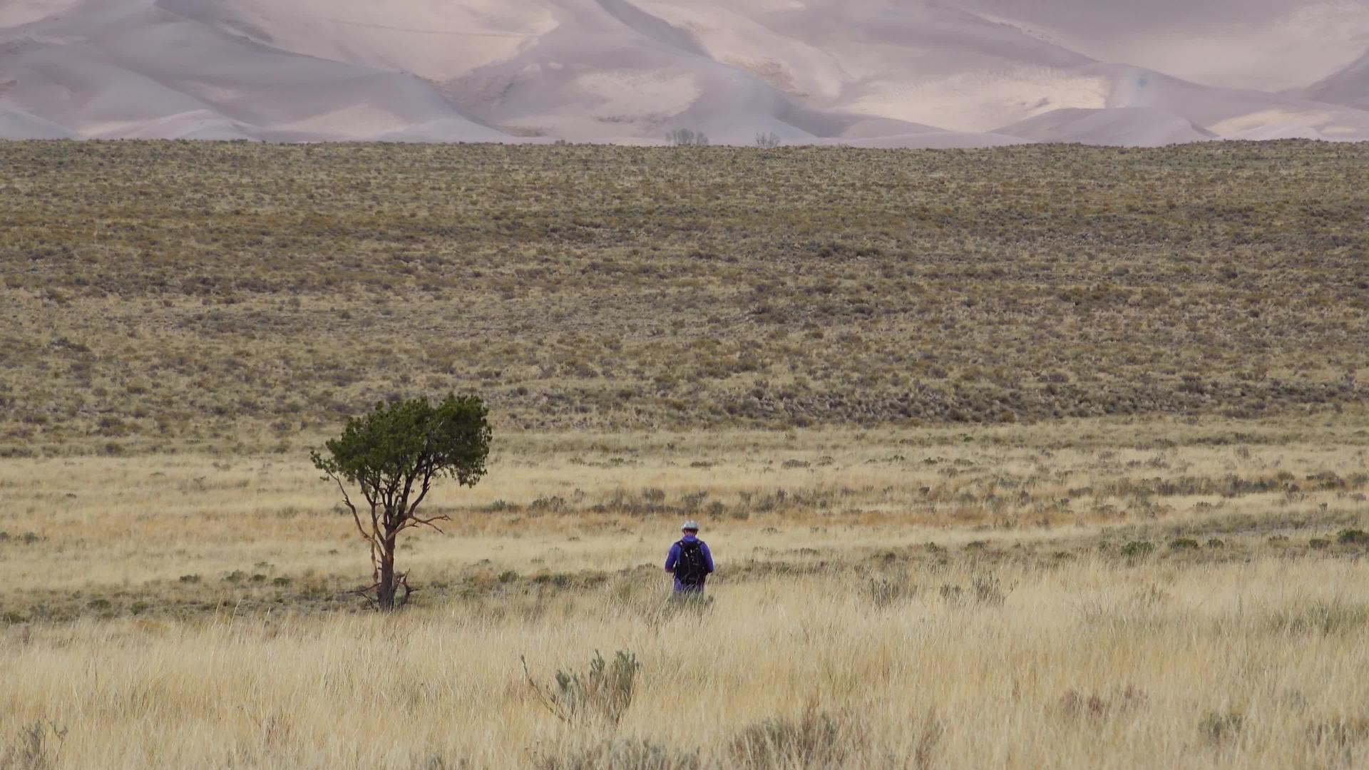 在大沙丘和雪山的背景下有一个伟大的沙丘国家视频的预览图