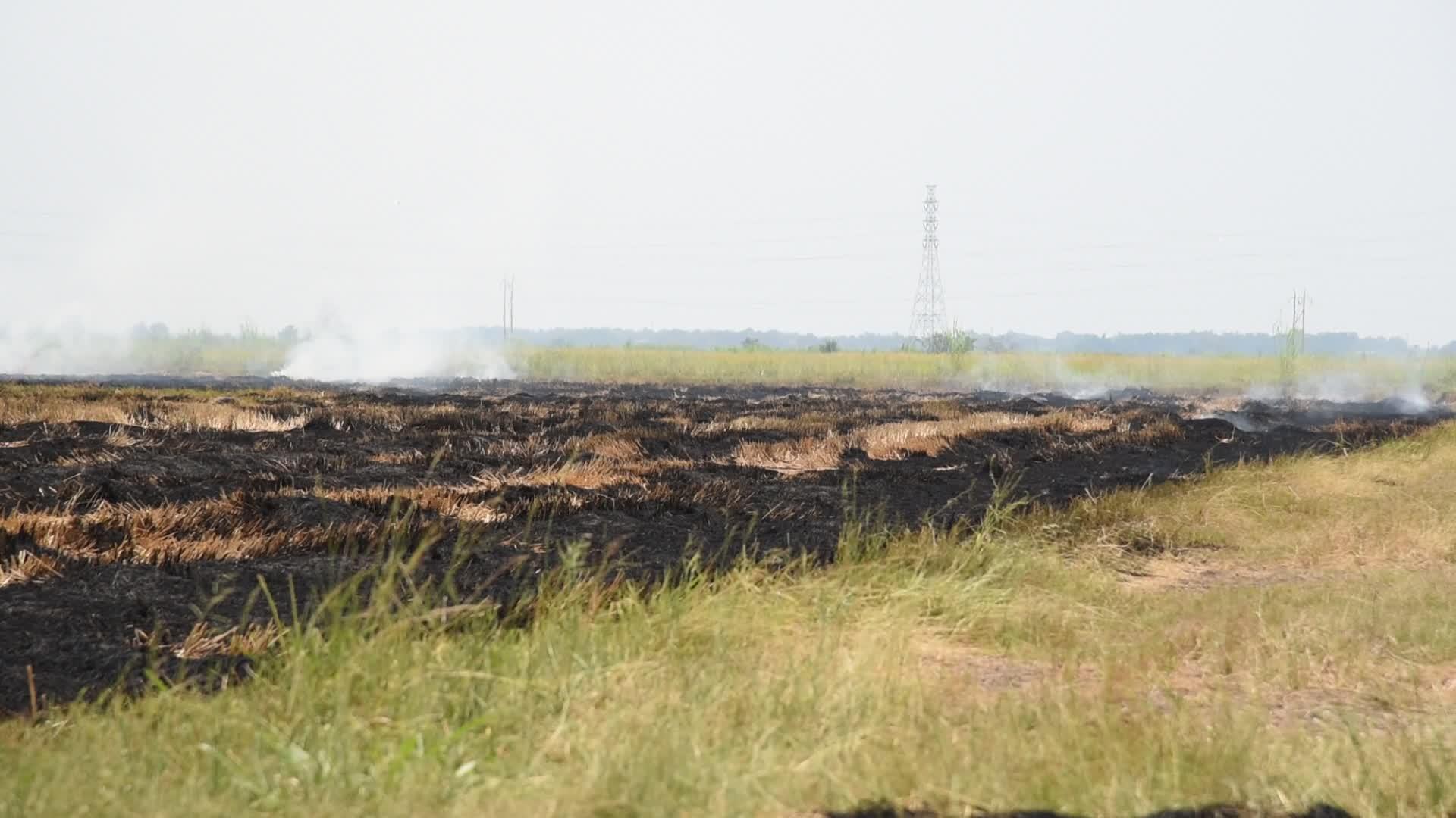 焚烧干草对环境有危险；或视频的预览图