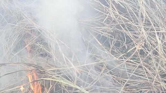 焚烧干草对环境有危险；或视频的预览图