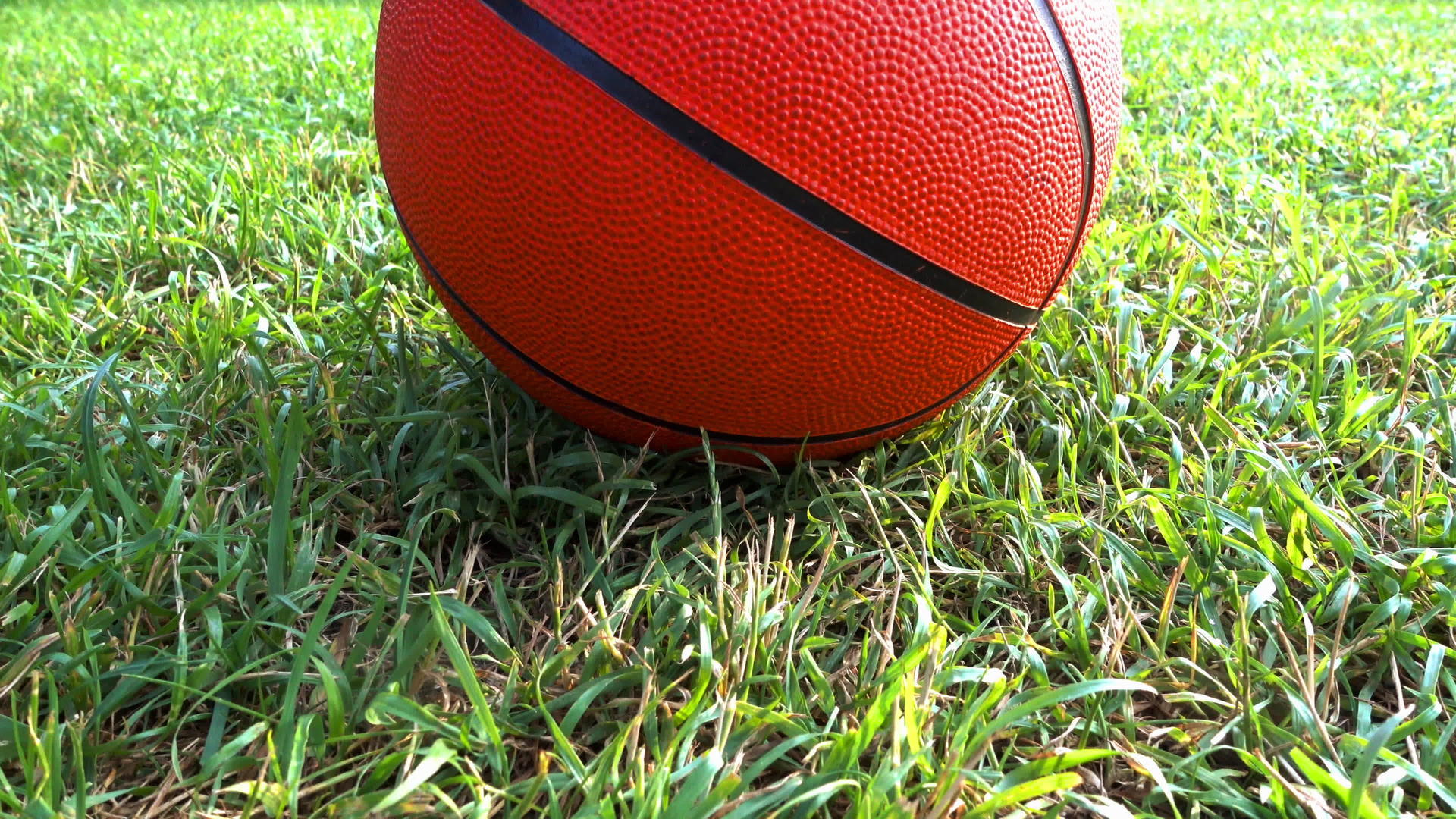 草地上的篮球视频的预览图