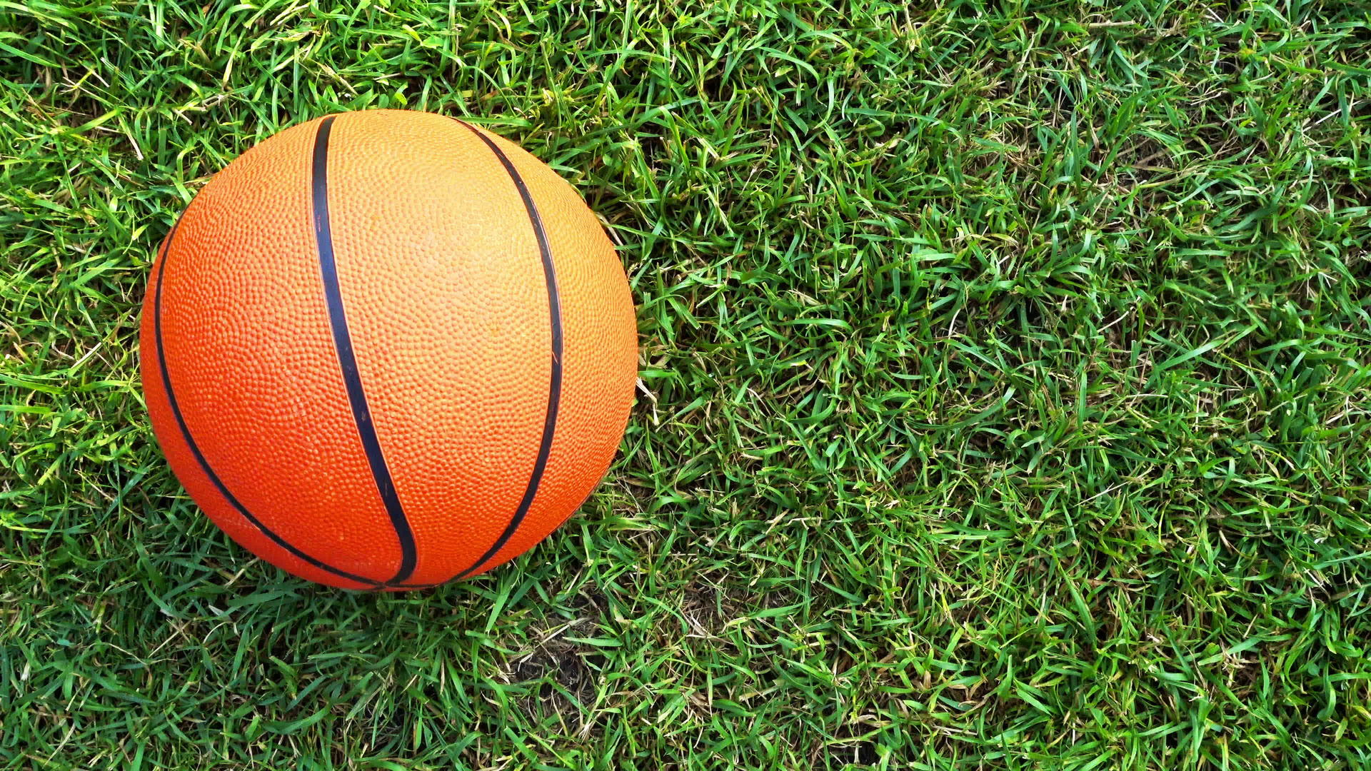 草地上的篮球视频的预览图
