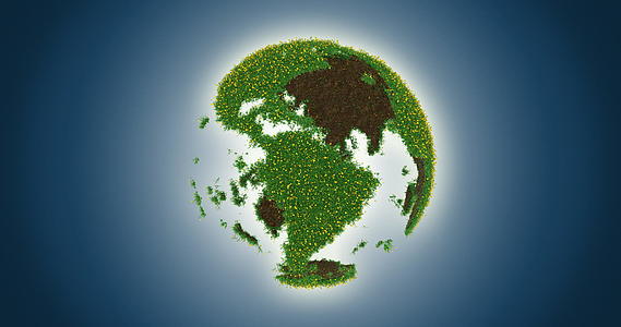 透明的草地被鲜花环绕地球意味着大气变暖保护地球视频的预览图